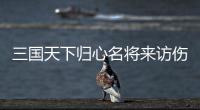 三国天下归心名将来访伤害阵容推荐攻略