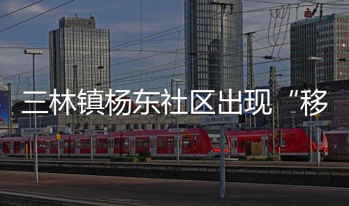 三林镇杨东社区出现“移动便民小屋”，里面竟然有这些服务…… 社区活动现场场面热火朝天