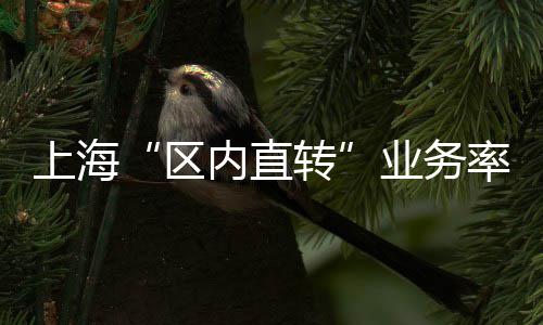 上海“区内直转”业务率先落地奉贤综保区 区内直转卸货的上海工序