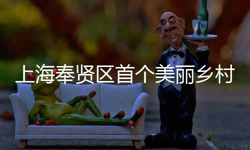 上海奉贤区首个美丽乡村振兴示范项目——中建八局东北公司承建的申亚森林美谷项目开工 村振承建提升区域经济能级