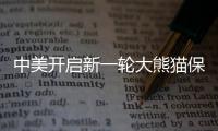 中美开启新一轮大熊猫保护合作 “平平”“福双”将赴美