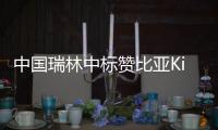 中国瑞林中标赞比亚Kitumba铜矿项目