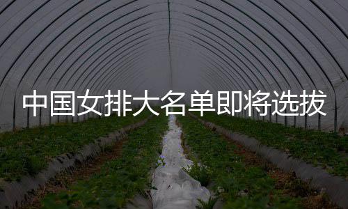 中国女排大名单即将选拔产生 体能测试为重要依据 体脂比测试、市队伍