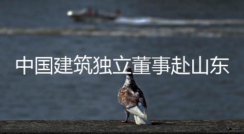 中国建筑独立董事赴山东曲阜开展调研 中国展调提升企业核心竞争力