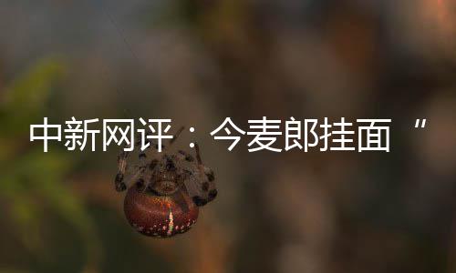 中新网评：今麦郎挂面“手打”是商标，文字游戏该收场了 郎挂日化等领域出现