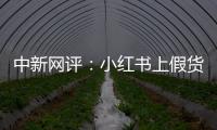 中新网评：小红书上假货丝滑流转，谁在开绿灯？
