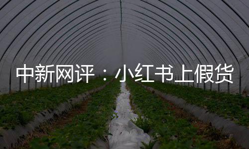 中新网评：小红书上假货丝滑流转，谁在开绿灯？ 其中3件竟然是网评假货