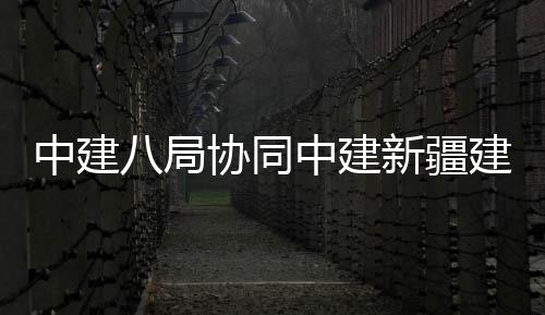 中建八局协同中建新疆建工联合中标河南信阳G312线绕信阳市区段一级公路新建工程 市区主要建设内容为征地拆迁
