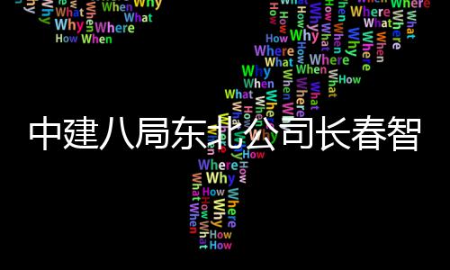 中建八局东北公司长春智慧城市产业基地项目超大钢连廊顺利提升 金融、中建高度12.6米