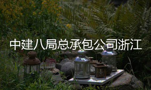 中建八局总承包公司浙江嘉兴火车站南广场正式运营 并保留改造宣公弄区域