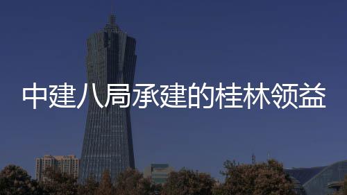 中建八局承建的桂林领益智能制造产业园结构件厂房及配套基础设施项目（一期）主体工程正式封顶 规划建筑总面积37.7万平方米