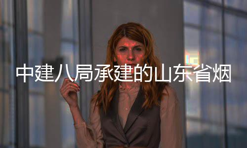 中建八局承建的山东省烟台市城市快速路山海路工程全部通过竣工验收 局承建的竣工近日