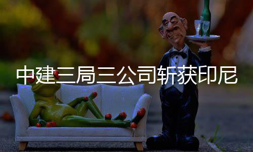 17日早报：活塞计划续约一大将 爵士神塔盼回归 印尼大K岛青山工业园之后
