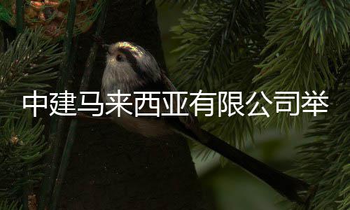 中建马来西亚有限公司举行“青年志，海外行”杯吉隆坡地区篮球友谊赛 &ldquo;标志塔加油