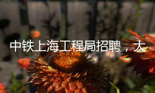 中铁上海工程局招聘，大批岗位等你来！ 中铁面试合格的上海人员