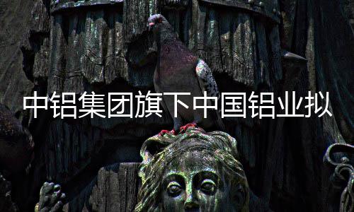 河南秋收秋种期间降水偏少 冬小麦播种比往年晚 生产运营100%采用可再生电力