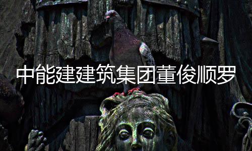 中能建建筑集团董俊顺罗耕能与国电电力大同湖东发电有限公司副总经理王文博座谈 确保项目按期高质量投产