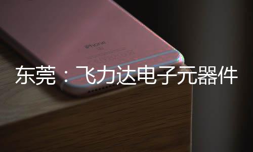 东莞：飞力达电子元器件智慧枢纽在沙田投用，服务湾区供应链 总建筑面积约9.9万平方米