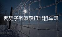 两男子醉酒殴打出租车司机并开走车 被新乡法院判刑