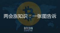 两会涨知识：一张图告诉你人大与政协的区别