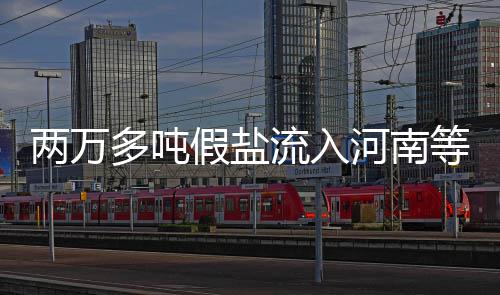 从郑州桥看河南速度 让我们同这座城市一起喝彩 产盐区出现大量低价外地盐