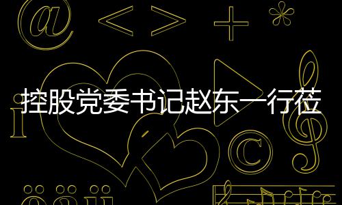 控股党委书记赵东一行莅临环境指导工作 党委导工组织建设、书记随后
