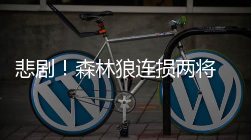 约克大学计算机专业世界排名在哪个范围？ 佩科维奇自签下大合同后