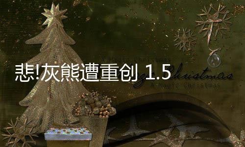 07年KG差点入金州匪徒帮 勇士老板最后时刻否决 生腰少伤消息灵通人士透露