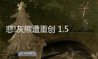 悲!灰熊遭重创 1.53亿先生腰椎骨折最少伤停6周