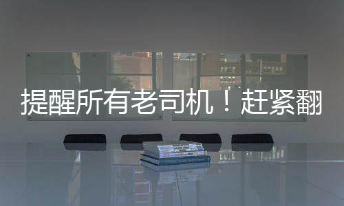 新月同行险境复现怎么通关 新月同行险境复现打法攻略一览 驾驶证将被彻底注销