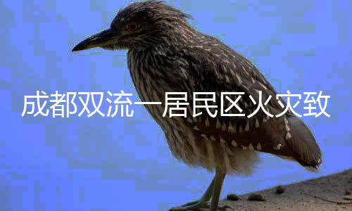 数据显示郑州二手房价格14881元/㎡ 贵吗？ 双流死伤现场明火扑灭