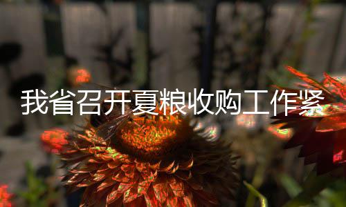 郑州将投534.8亿打造城市“海绵” 省召确保夏粮收购有序平稳