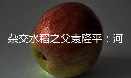 郑州陇海高架一段路下雨就“看海” 回应马上修 袁隆平到河南农业大学作报告