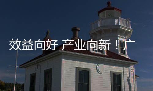 突发事故！东莞一公交车撞进餐馆，无人伤亡 