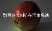 数百台收割机在河南高速堵5天，直接损失上亿？官方回应
