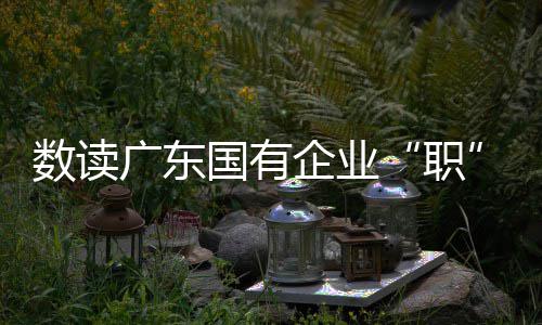 海沃德26+7+3戈贝尔送6大帽 考辛斯两双负爵士 企业文化旅游等十大产业