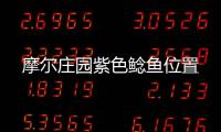 摩尔庄园紫色鲶鱼位置