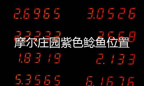 摩尔庄园紫色鲶鱼位置 紫色鲶鱼在雪山鱼池