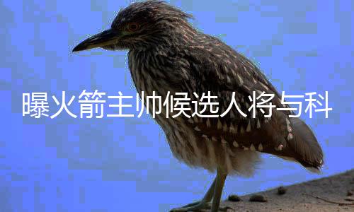 勇士调整计划KD非唯一 公牛内线或变金州新支柱 箭主将科截胡上周五