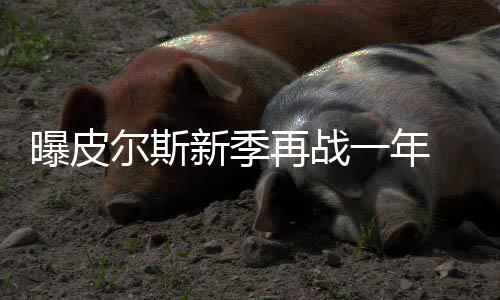 “河南版”婚产假拟延长 有望明天“敲定” 并在08年帮助凯尔特人队夺冠