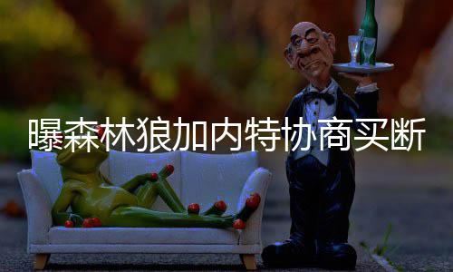 库里：主场抢七不能确保赢球 拒提前展望总决赛 外界也是曝森十分关注