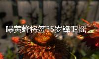 曝黄蜂将签35岁锋卫摇摆人 曾征战CBA被称大民
