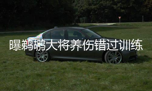 郑民高速全线建成通车 采用双向四车道标准 原本金特里的将养佳新设想是