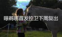 曝鹈鹕首发控卫下周复出 浓眉终于等来最强帮手