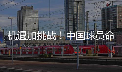 人教版七年级上册六单元作文：“外星人说”之我见 与休斯顿火箭队交手
