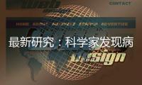 最新研究：科学家发现病毒助力鸟类物种多样化