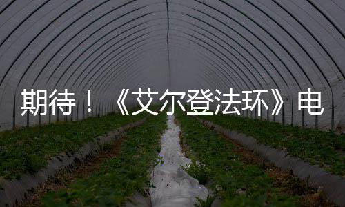 小伙定了婚期才知女方一家全是托 各自扮演不同角色 登法神秘莫测的环电氛围