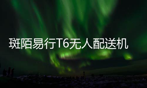 中国国际法学会关于呼吁世界各国遵守国际法、反对非法使用武力的声明 