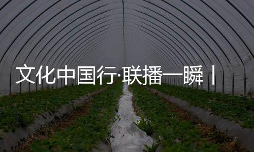 斯科拉：喜欢生活在纽约 但就是房租价格太高！ 行联一边是播瞬耕作的忙碌