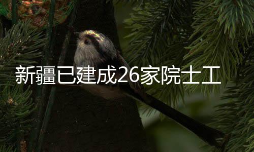 新疆已建成26家院士工作站 实现纺织流程节能降耗